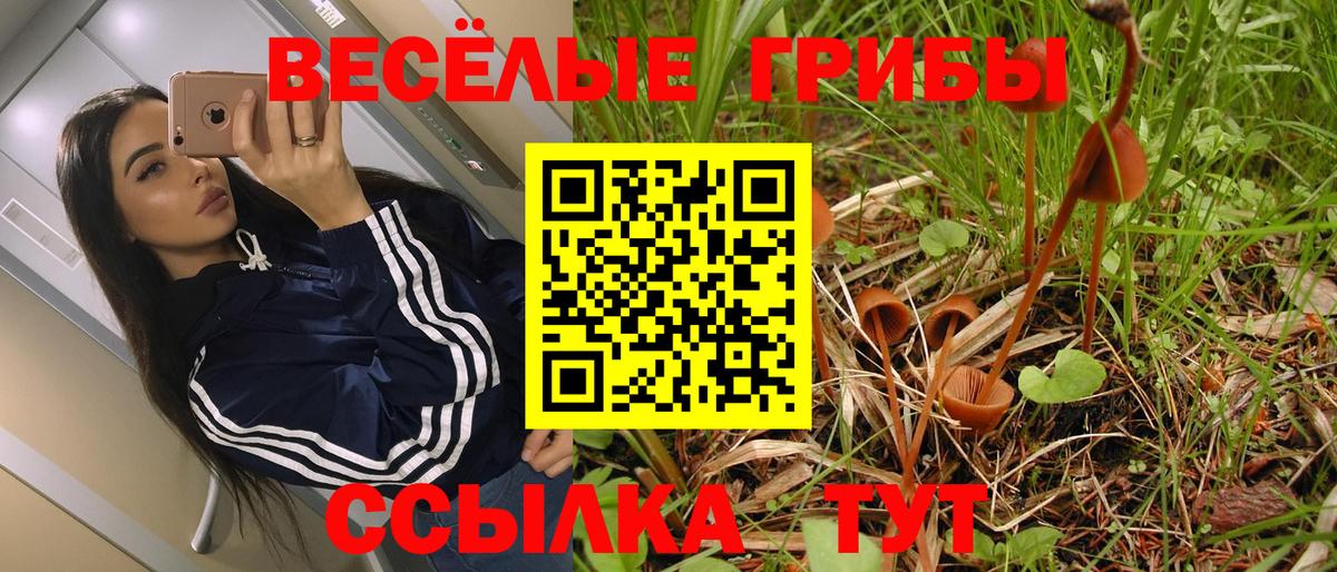 Галлюциногенные грибы мухоморы Кизляр