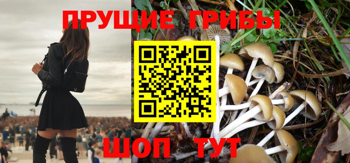 Галлюциногенные грибы прущие грибы  Вход с VPN  Кизляр 